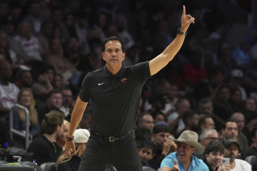 广州蒲公英 广州蒲公英